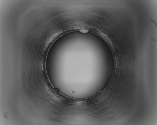 X0000103460060200809121613