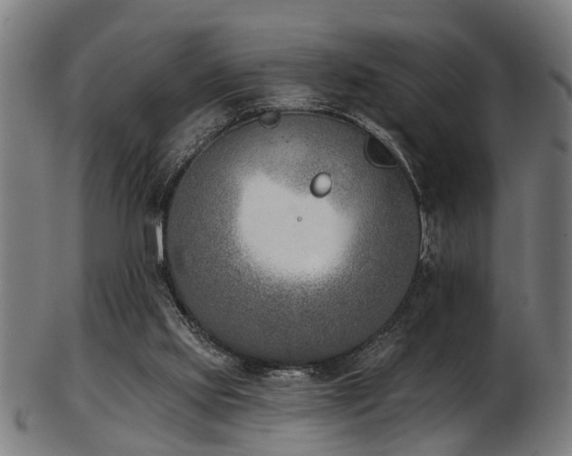 X0000103460061200809121613