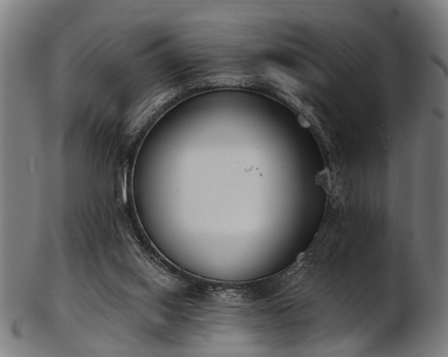 X0000103460062200809121613