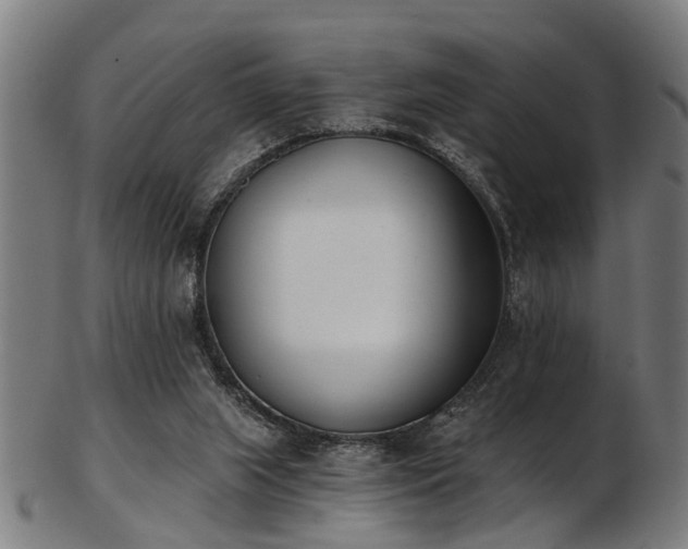 X0000103460063200809121613