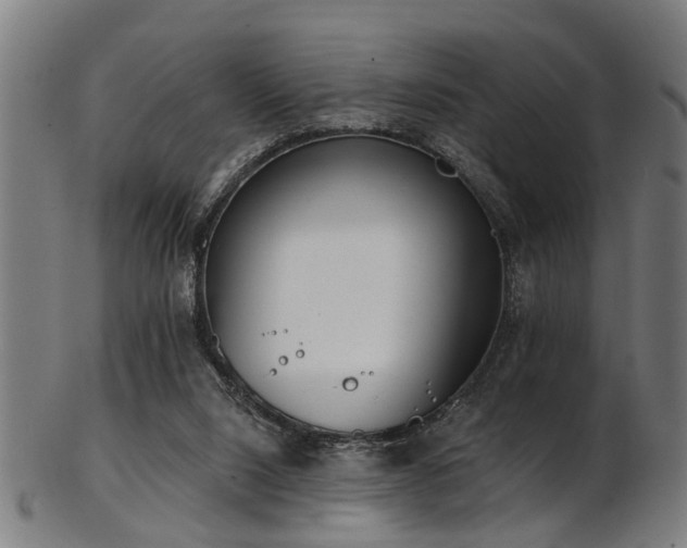 X0000103460064200809121613