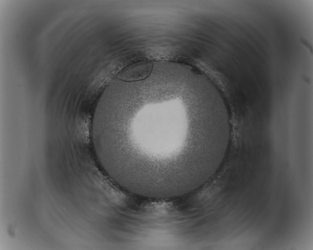 X0000103460065200809121613
