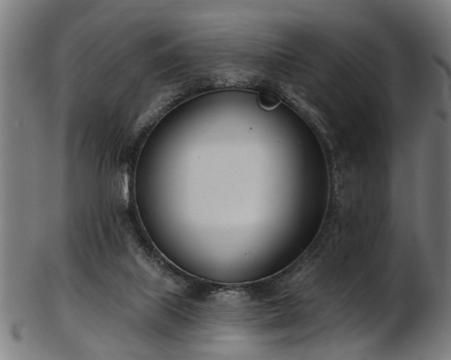 X0000103460067200809121613