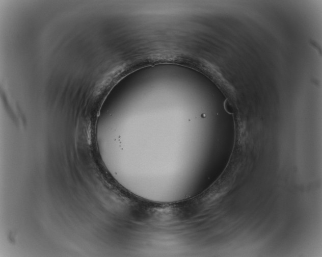 X0000103460068200809121613