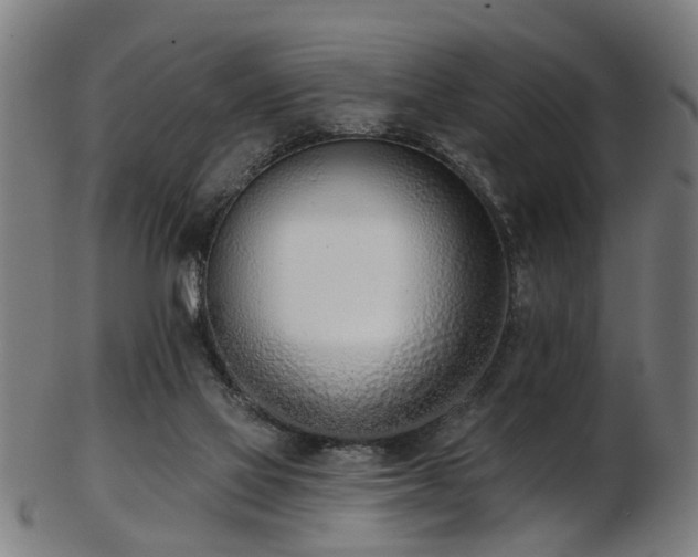 X0000103460069200809121613