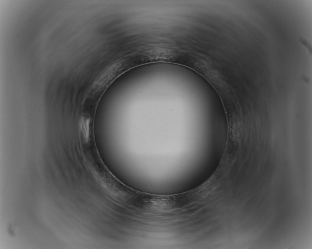 X0000103460070200809121613
