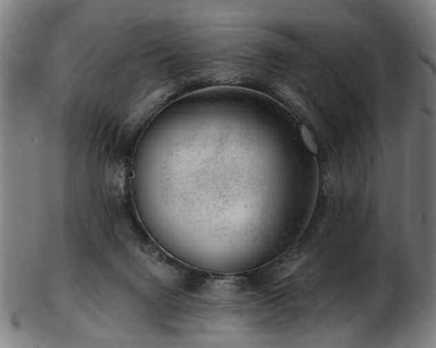 X0000103460072200809121613
