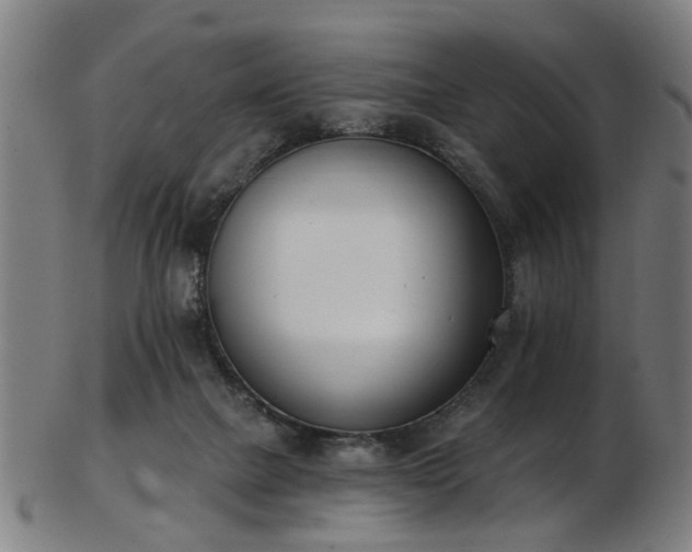 X0000103460073200809121613