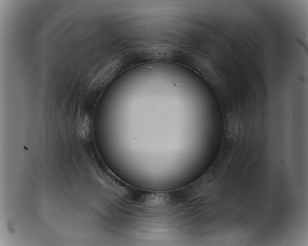 X0000103460077200809121613