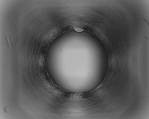 X0000103460078200809121613