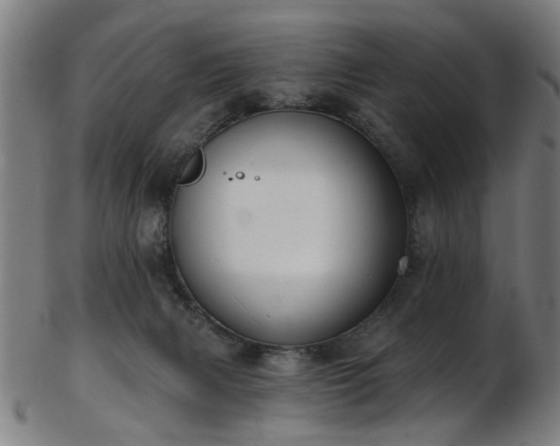 X0000103460079200809121613