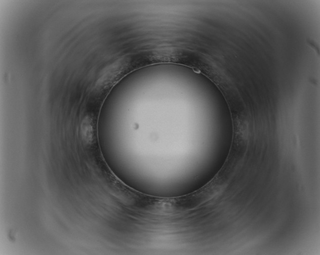 X0000103460080200809121613