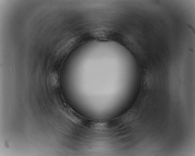 X0000103460081200809121613