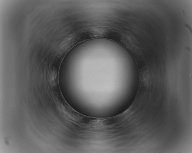 X0000103460082200809121613