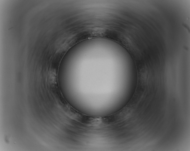 X0000103460083200809121613