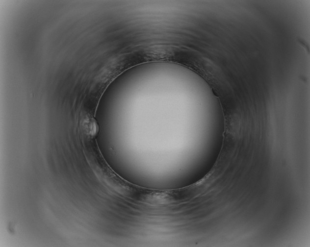 X0000103460086200809121613