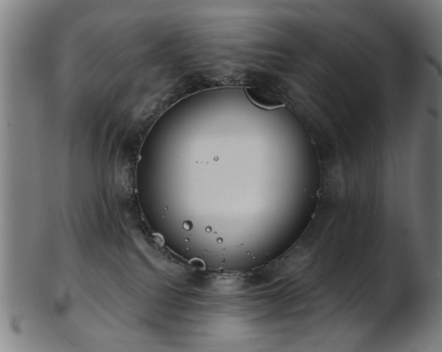 X0000103460088200809121613