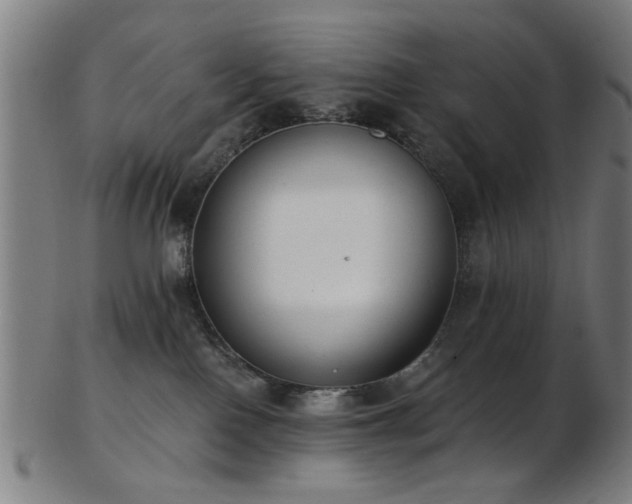 X0000103460090200809121613