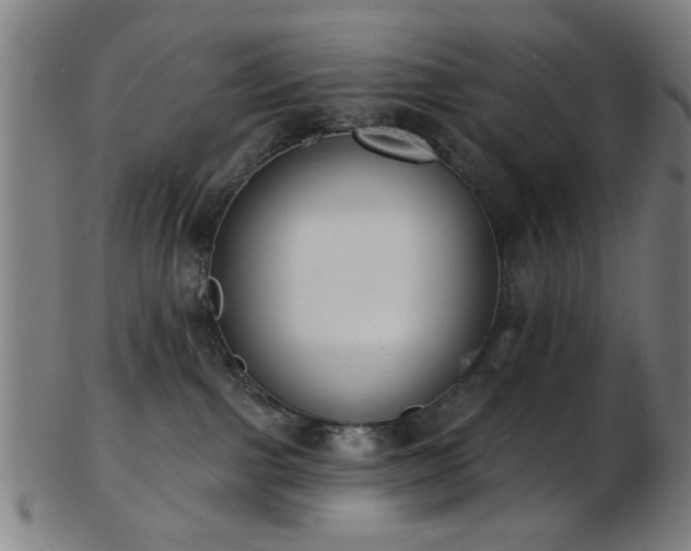 X0000103460091200809121613