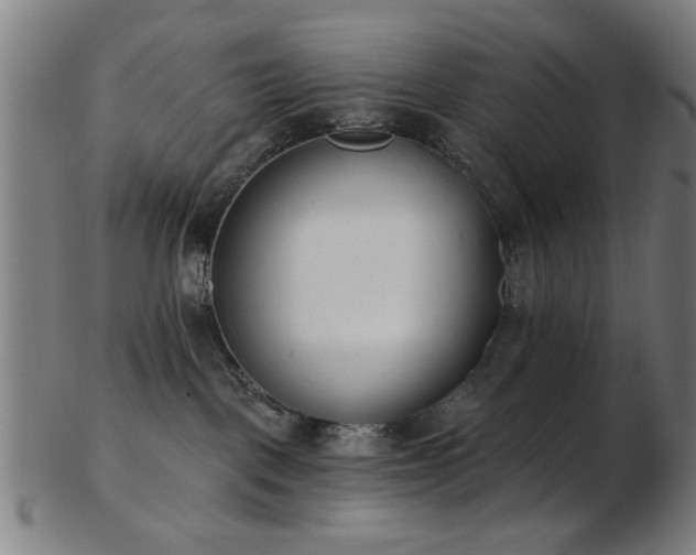 X0000103460093200809121613