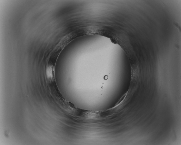 X0000103460094200809121613