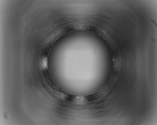 X0000103460095200809121613