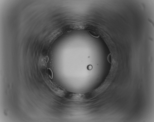 X0000103460096200809121613