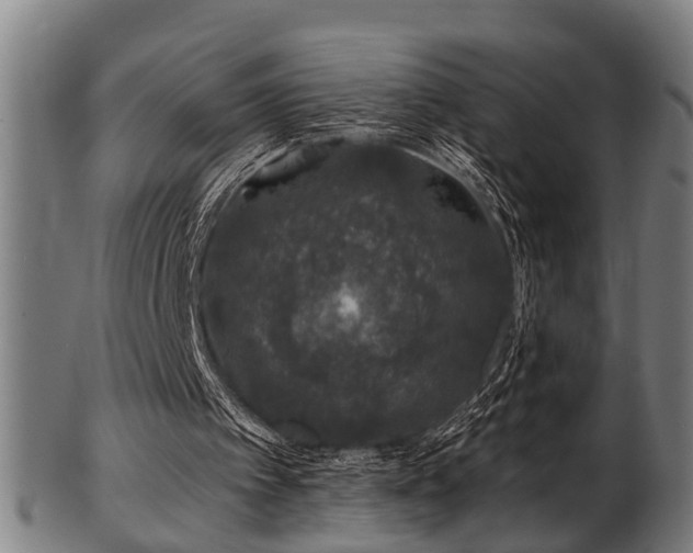 X0000103460097200809121612