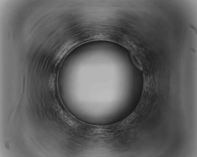 X0000103460098200809121612