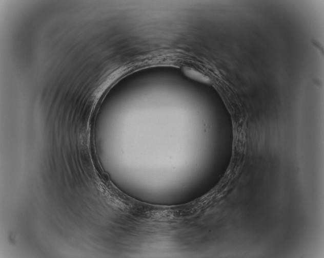 X0000103460100200809121612