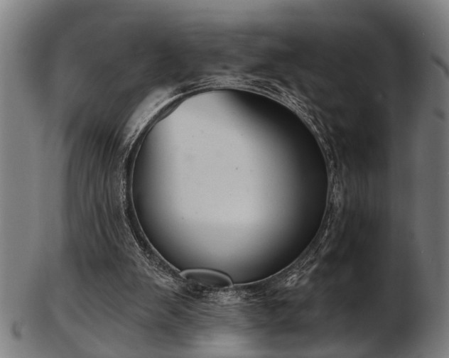 X0000103460103200809121612