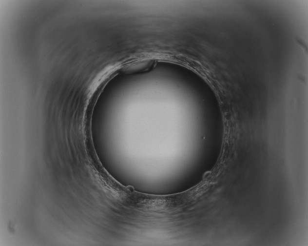 X0000103460104200809121612