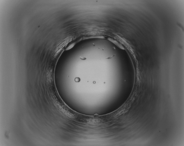 X0000103460105200809121612