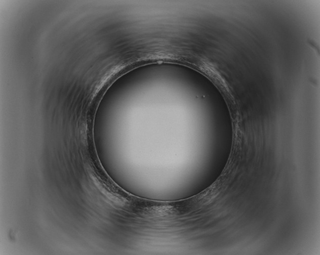 X0000103460108200809121612