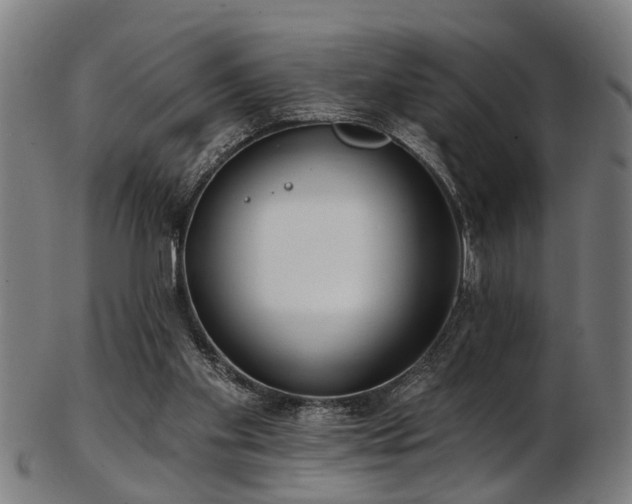 X0000103460109200809121612