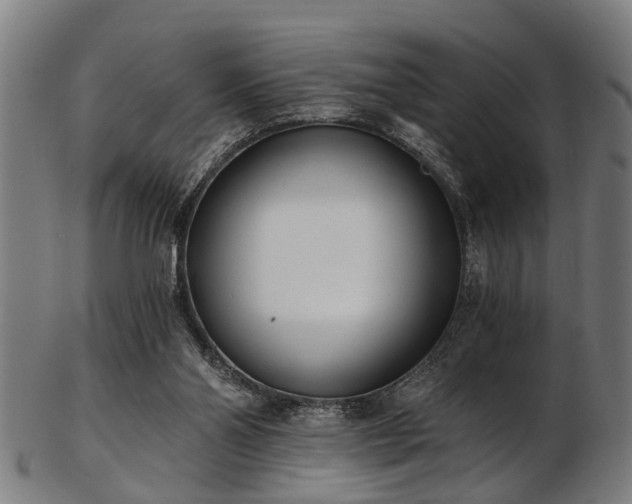 X0000103460110200809121612