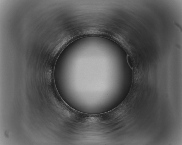 X0000103460111200809121612