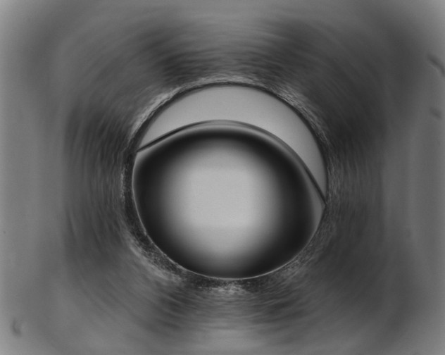 X0000103460112200809121612