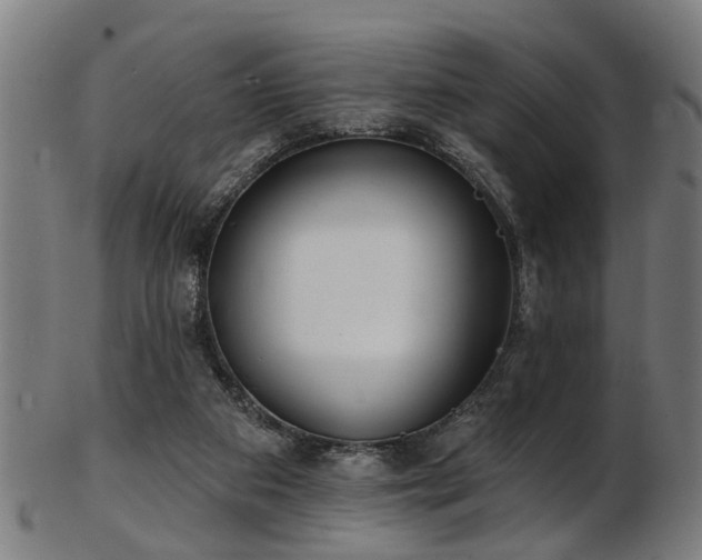 X0000103460113200809121612