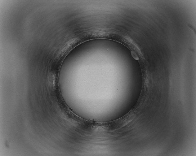 X0000103460115200809121612