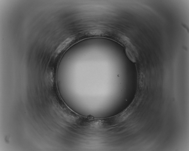 X0000103460116200809121612