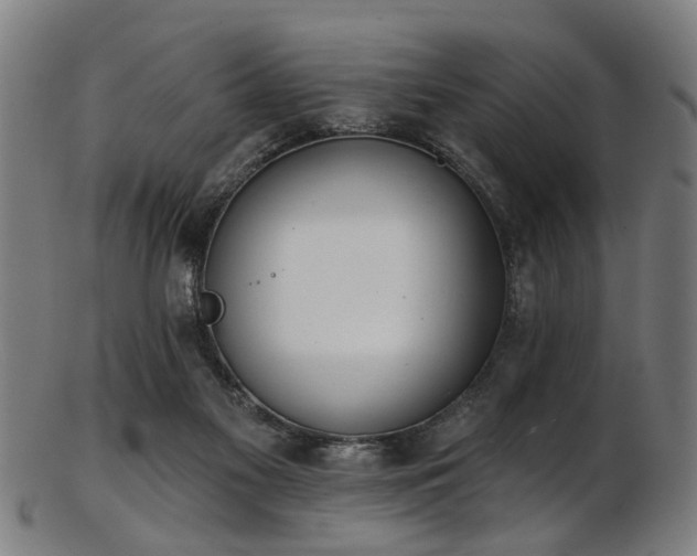 X0000103460117200809121612