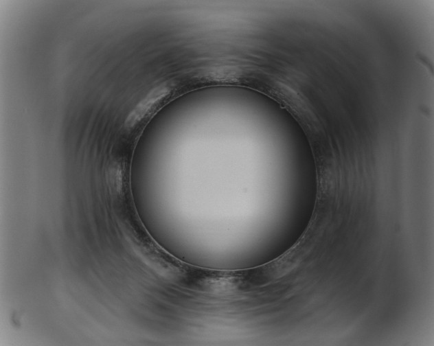 X0000103460120200809121612