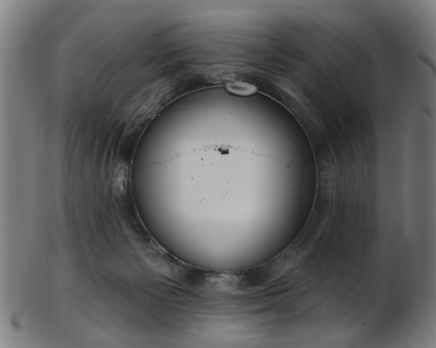X0000103460125200809121612