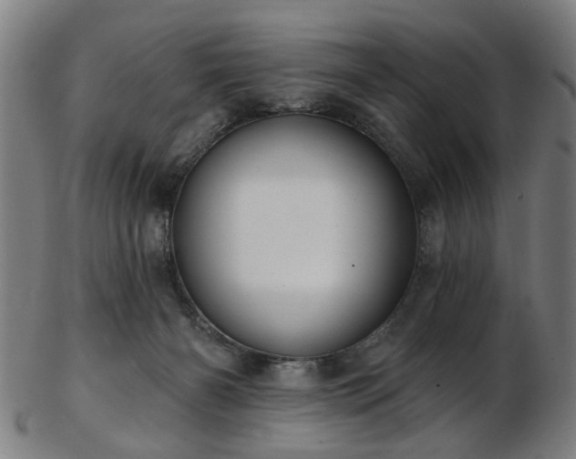 X0000103460126200809121612