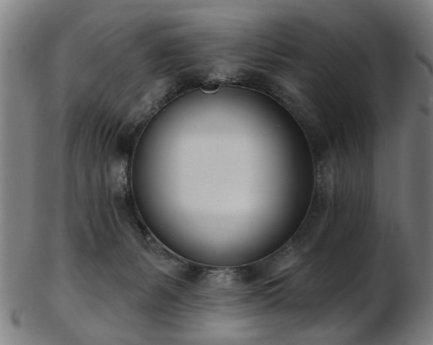 X0000103460127200809121612