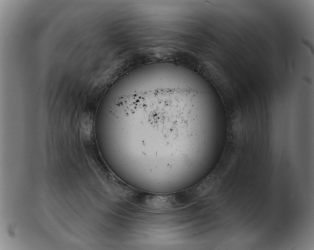 X0000103460129200809121612