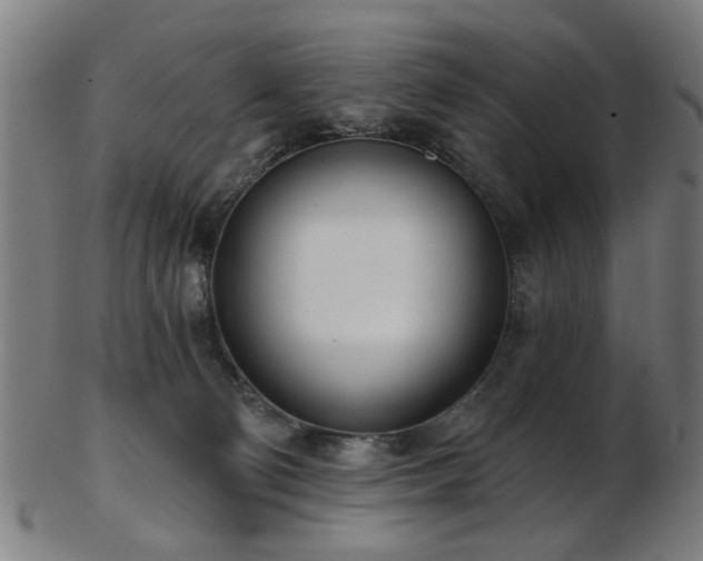 X0000103460130200809121612