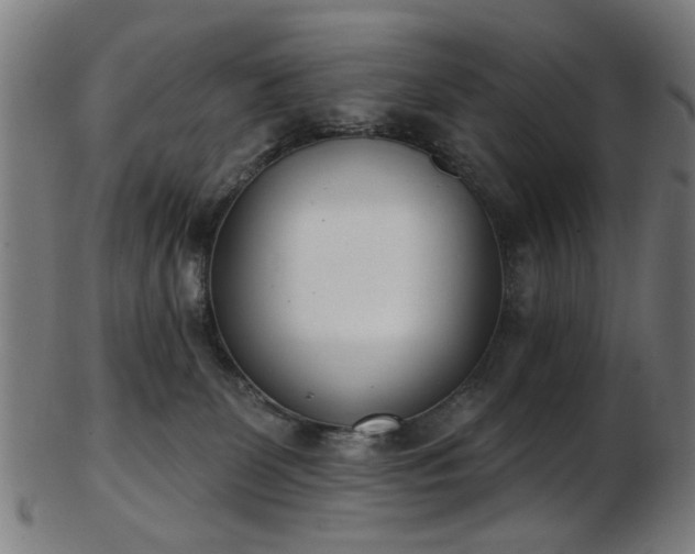 X0000103460131200809121612