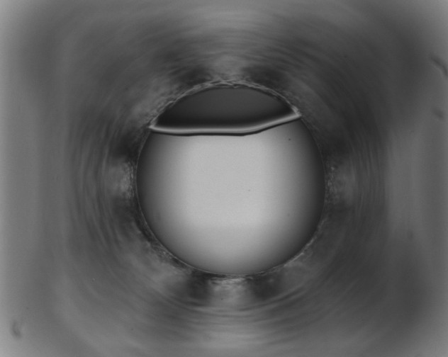 X0000103460132200809121612